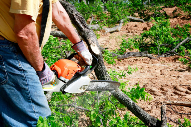 Best Residential Tree Removal  in Byng, OK